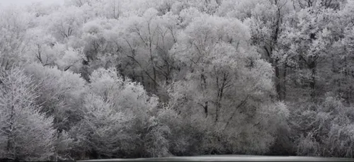 La neige de retour en Lorraine ce mercredi
