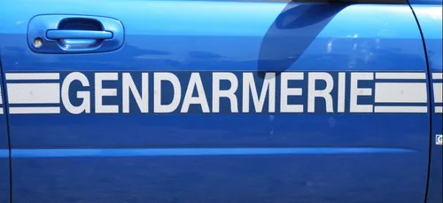 Lorraine: un gendarme blessé au niveau de la tête lors d'un contrôle