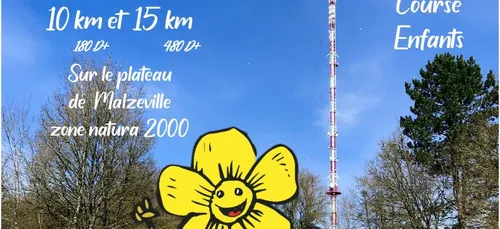 Trail de La Fumana sur le plateau Malzéville : trois courses au...