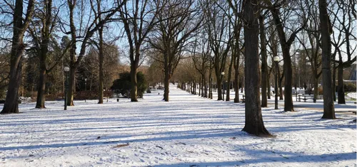 Lorraine : risque de neige la semaine prochaine