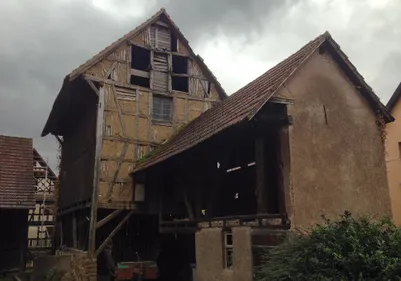 PATRIMOINE | Un séchoir à tabac de Lipsheim bientôt à l'Ecomusée