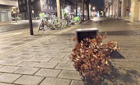 TEMPÊTE CIARA | Cols fermés, foyers sans électricité, TER à quai......