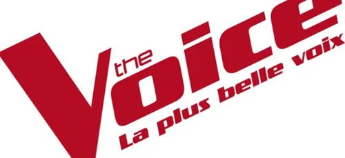 QUELS ANCIENS COACHS DE THE VOICE VONT PARTICIPER À UN NOUVEAU TÉLÉ...