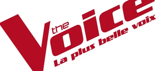 DES INFOS SUR LA SAISON ANNIVERSAIRE DE THE VOICE