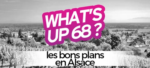 WHAT'S UP 68 : L'AGENDA DU 18 FEVRIER