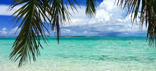 Job de rêve : recherche nounou pour partir aux Bahamas à Noël !