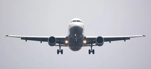 Un oiseau perturbe un vol long-courrier (Vidéo)