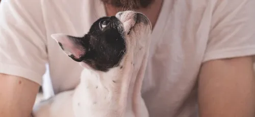 Drague : avoir un animal de compagnie, la nouvelle arme de séduction