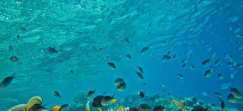 Under : le premier restaurant d’Europe sous l’eau ! (photo)