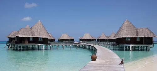 Job de r&ecirc;ve : partez aux Maldives pour une mission...