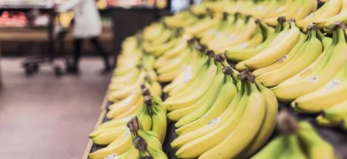 Une énorme mygale tropicale retrouvée sur des bananes à Auchan...