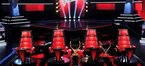 The Voice 9 : découvrez les 4 nouveaux coachs qui débarquent dans...