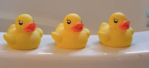 Une femme reste coincée huit jours dans sa baignoire