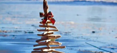 Zéro déchet : comment fabriquer son sapin de Noël en bois flotté