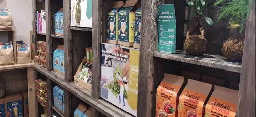 Angers : la tendance du « Do It Yourself » avec Radis et Capucine