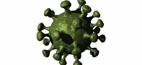 Covid-19 : un site internet pour évaluer votre état de santé
