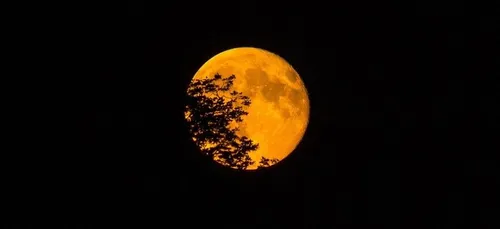 La plus grosse "Super Lune" de 2020 est à voir cette nuit