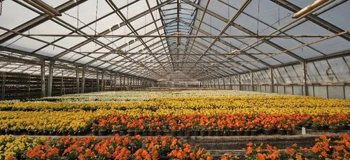 Loiret : le département commande 500 000 euros de fleurs pour...