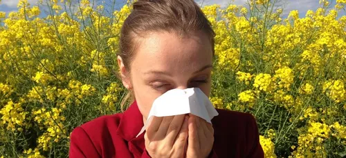 Centre-Val de Loire : cinq départements en alerte rouge aux pollens...
