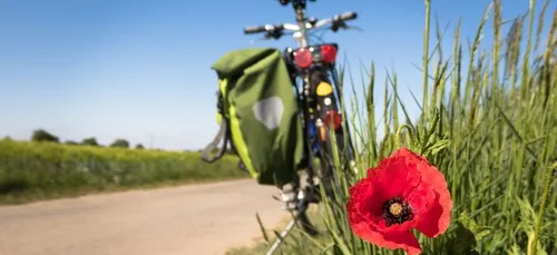 Cet été, découvrez les fromages du Centre-Val de Loire à vélo