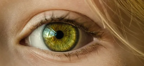 Illusion d’optique : votre cerveau va colorer lui-même cette photo...