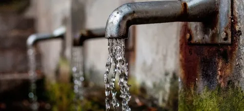 Une amibe « mangeuse de cerveaux » retrouvée dans l’eau du robinet