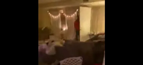 Un homme s’introduit chez elle pendant qu’elle se filme sur TikTok...