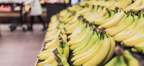 Des cartons de bananes remplis de cocaïne livrés par erreur dans...