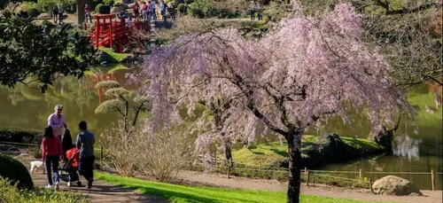 Maine-et-Loire : le parc oriental de Maulévrier rouvre ce samedi !