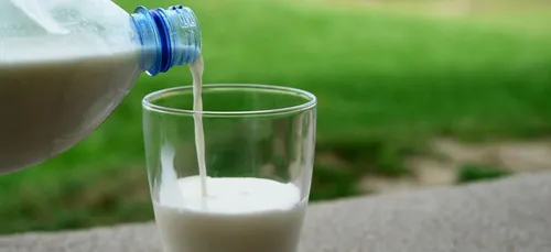 Maine-et-Loire : deux éleveurs nous offrent du lait pour éviter le...