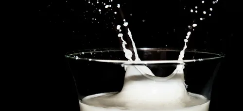 Salmonelles : Lactalis savait depuis plusieurs mois !