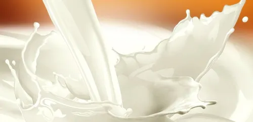 Top 3 des infos étonnantes sur le lait