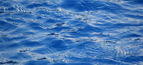 Nouvelle fermeture pour la piscine de Cognac