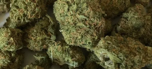 Orléans : le dealer agresse son consommateur mécontent du produit