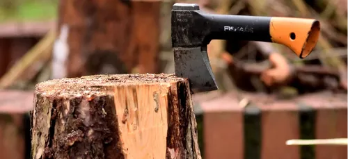 Limousin : il meurt percuté par l’arbre qu’il voulait couper