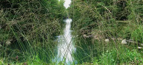 Loiret : un corps repêché à Sceaux-du-Gâtinais