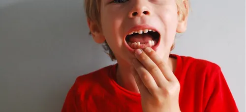 Il vole une voiture à 14 ans et se casse les dents