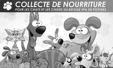 Poitiers : le SPA organise une collecte pour venir en aide aux animaux