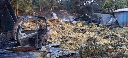 Incendie au zoo de la Palmyre