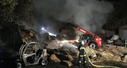 Zoo de la Palmyre : un employé licencié à l’origine de l’incendie