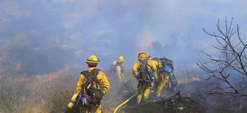 Haute-Vienne : nouveau feu de forêt ce vendredi matin