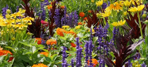 Bressuire : venez découvrir la fête des plantes