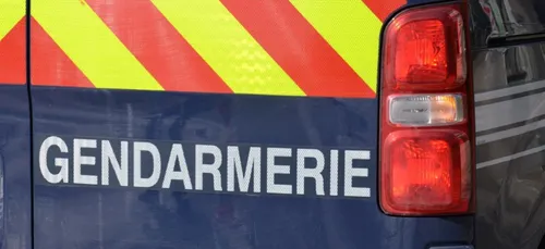 Poitiers : 157 kg cannabis découverts dans un camion transportant...