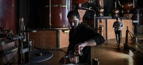 Poitou-Charentes : la filière du Cognac reprend des couleurs