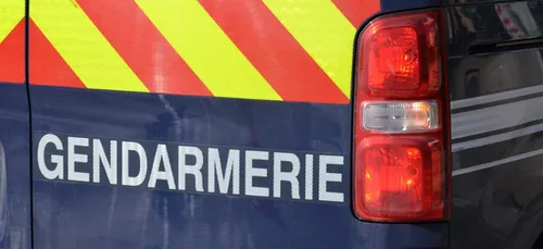 Deux-Sèvres : un couple en garde à vue, soupçonné d’avoir fauché un...