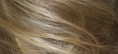 A 5 ans, cette fillette est une star du web grâce à ses cheveux...