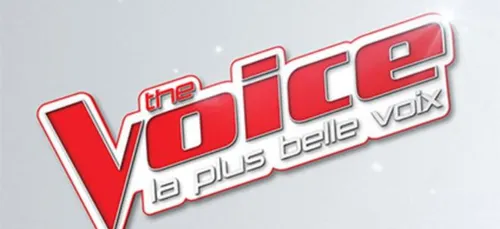 The Voice : découvrez les nouveaux coachs de la saison 8 !