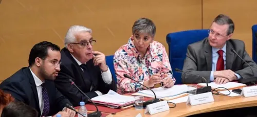 Le Sénat pointe des «dysfonctionnements majeurs» de l'Elysée : Le...