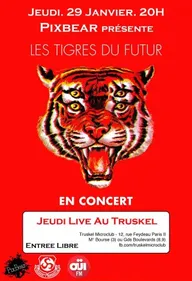 Les Tigres du Futur en live au Truskel, avec OÜI FM