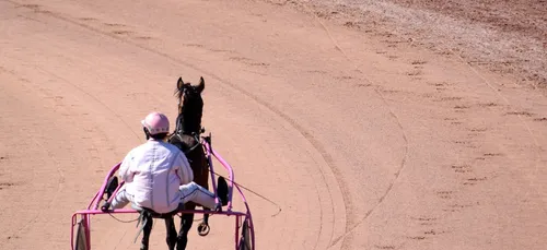 L’Hippodrome de Laval fête la Rentrée ce Dimanche 08 Septembre